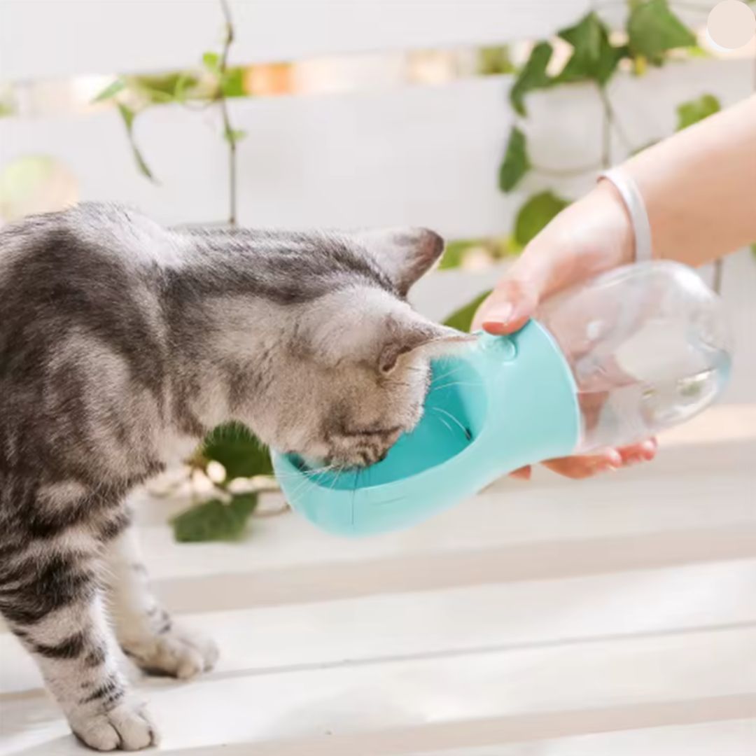 AquaPet® Bebedero Portátil de Mascotas