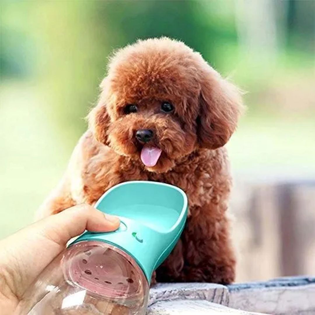 AquaPet® Bebedero Portátil de Mascotas