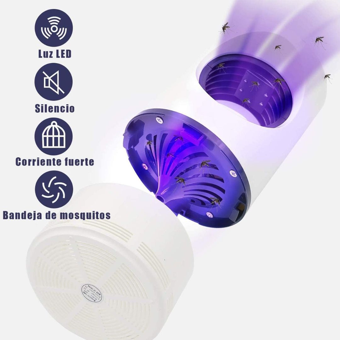Encabezado